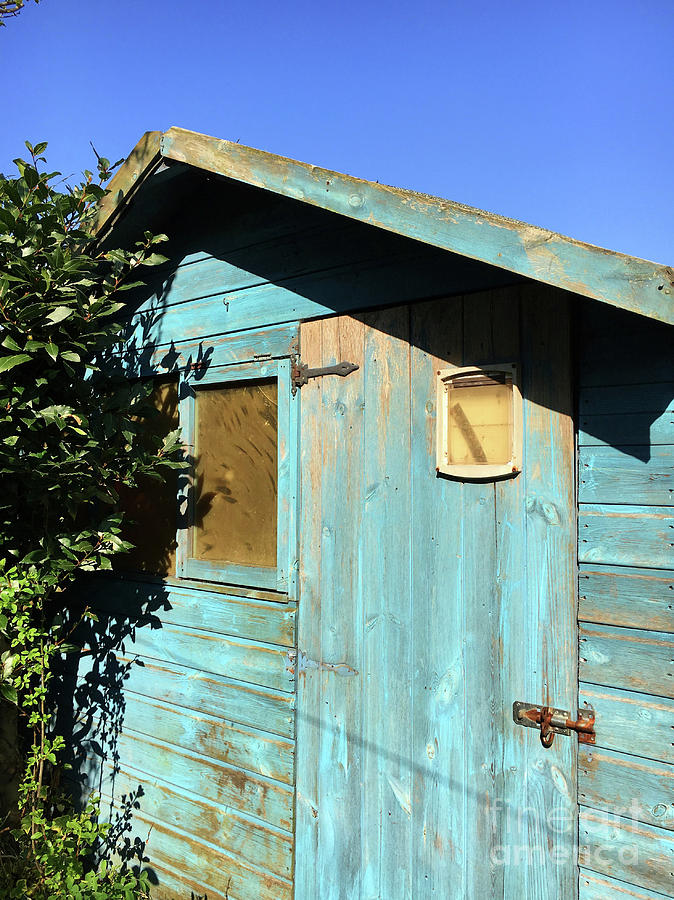 Blue shed #1 Photograph by Tom Gowanlock
