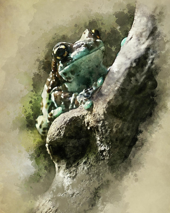 Blue tree frog #1 Digital Art by Jaroslaw Blaminsky