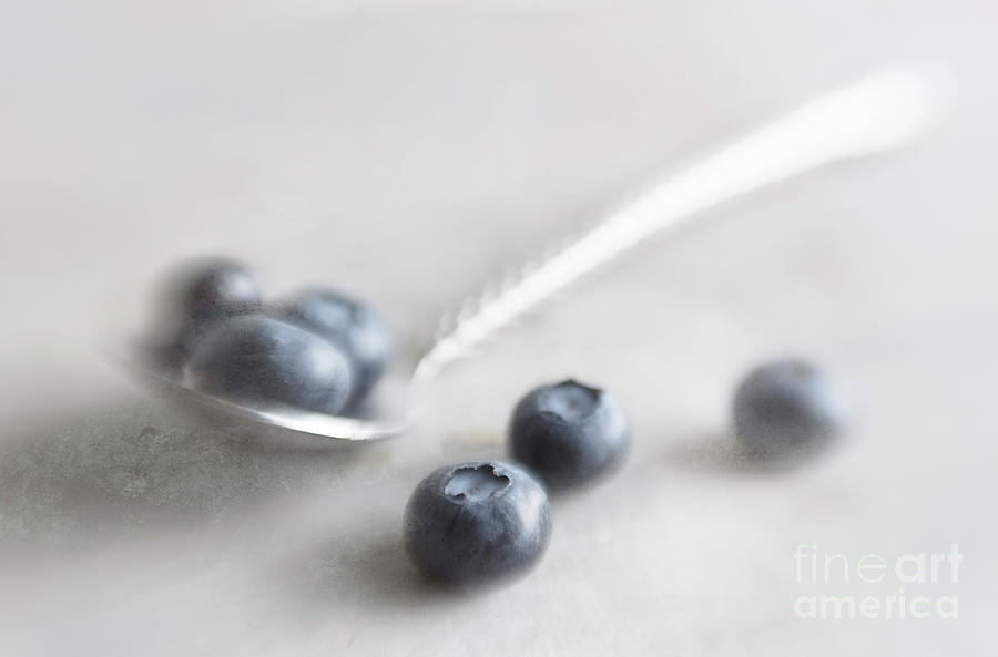 Blueberries  #1 Photograph by Elena Nosyreva