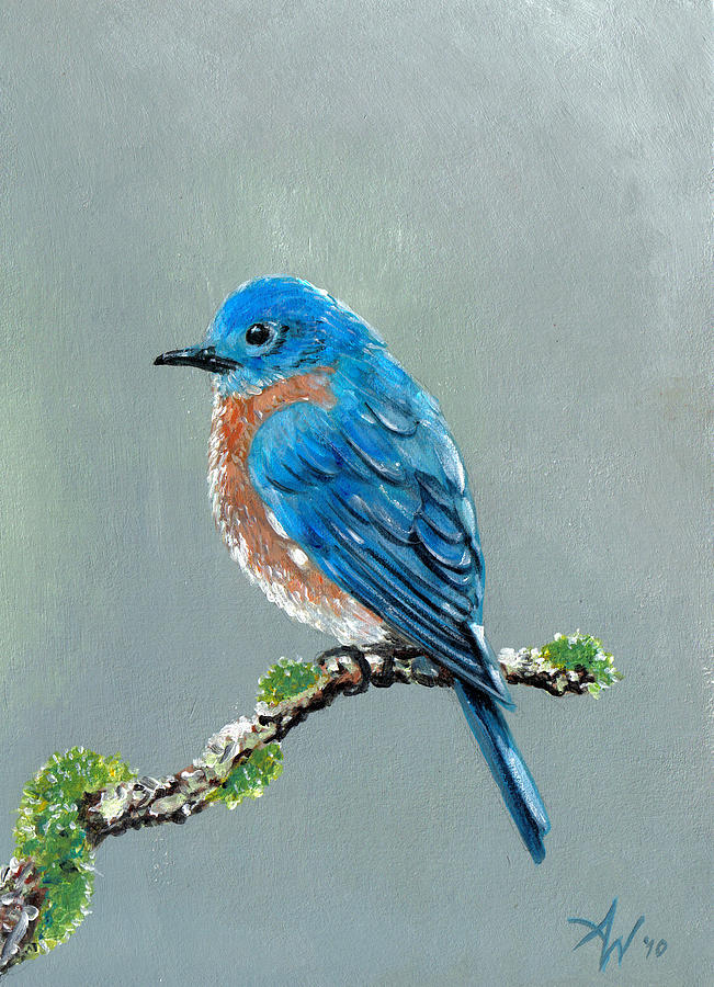 Bluebird #1 Painting by Arie Van der Wijst