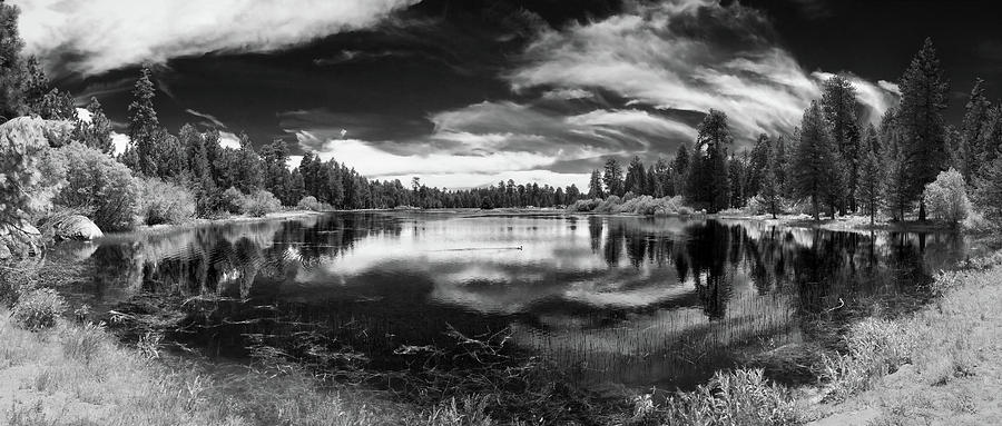 Tree Photograph - Bluff Lake #1 by Douglas Craig