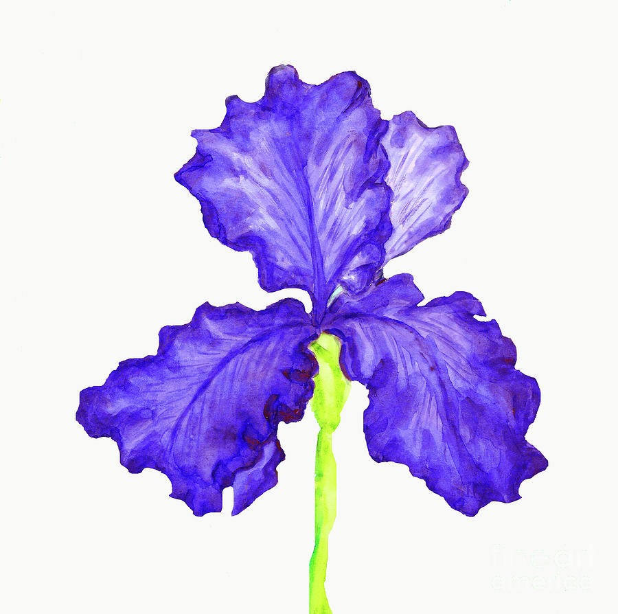 Blur iris, painting #1 Painting by Irina Afonskaya