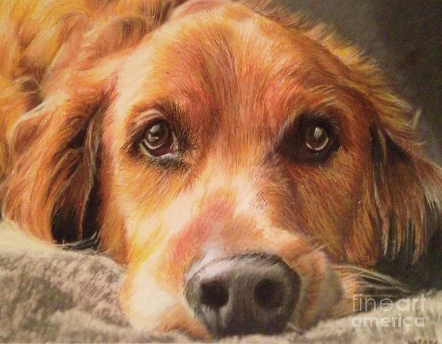 Golden Retriever Mixed Media - Bobby by Kelli Porter Golden Retriever Mixed Media - Bobby by Kelli Porter