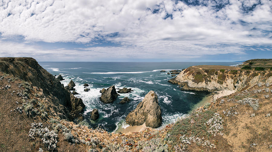 Bluffs Photograph - Bodega Head  #1 by Lee Harland