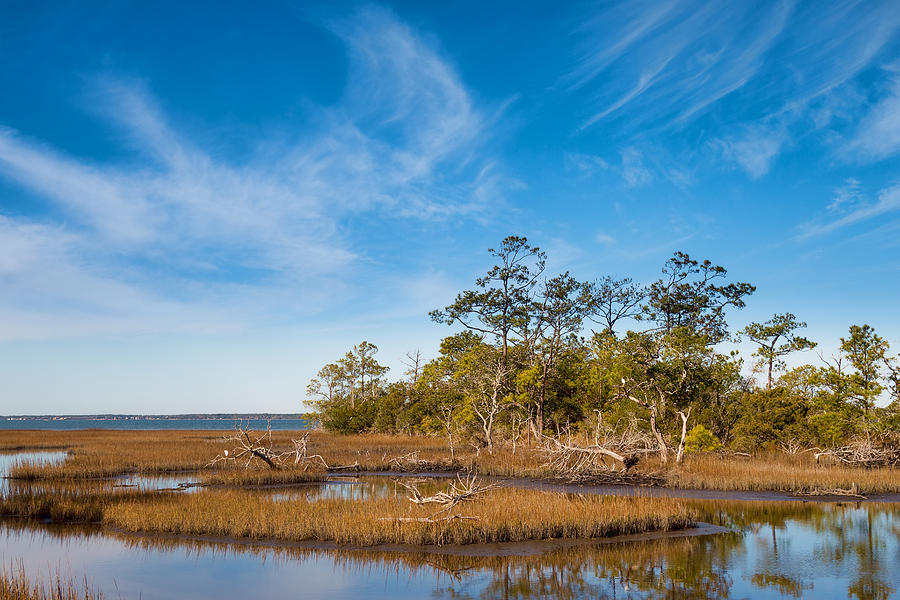 Bogue Sound Overview #2 Photograph by Rudy Umans