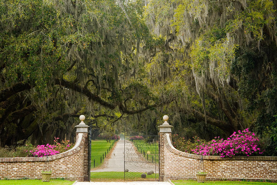 Boone Hall Plantation #1 Photograph by Eggers Photography