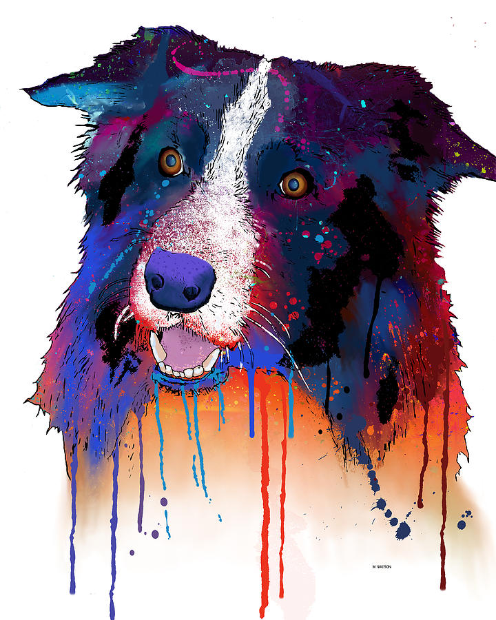 Dog Digital Art - Border Collie #2 by Marlene Watson