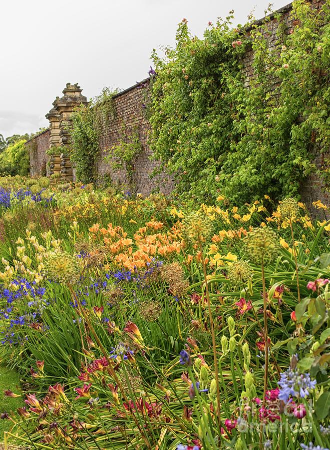 Castle Photograph - Border with colorful flowers by Patricia Hofmeester