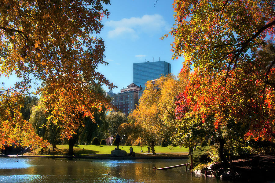 Boston Public Garden in Autumn #1 Photograph by Joann Vitali