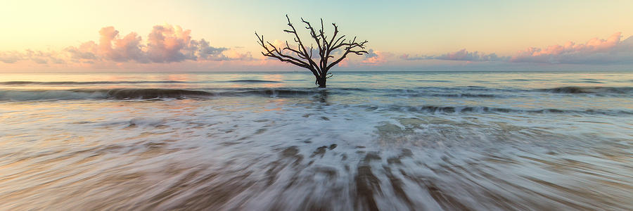 Botany Bay Morning #2 Photograph by Stefan Mazzola