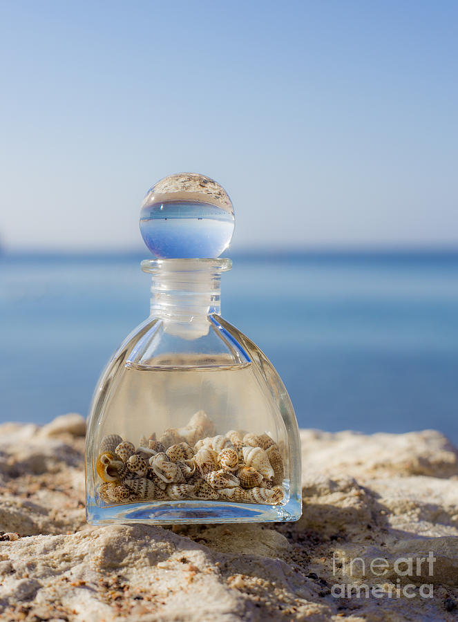 Bottle With Seashells On The Beach #1 Photograph by Mark Bespalov