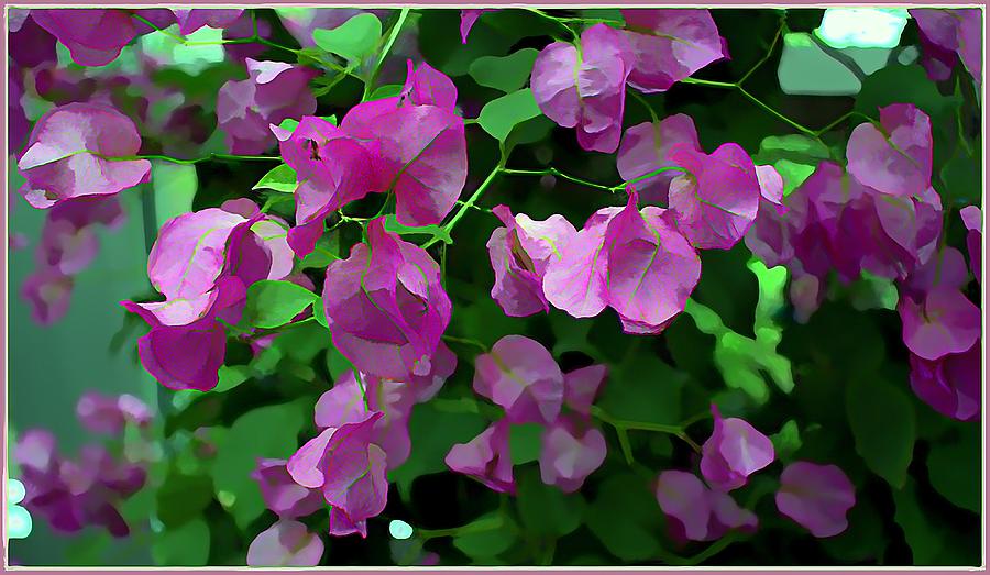 Bougainvillea #2 Painting by Mindy Newman