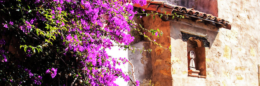 Bougainvillea on a Wall -1 #1 Photograph by Alan Hausenflock
