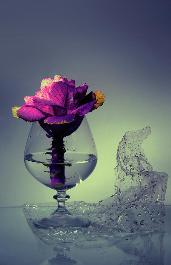 Still Life Photograph - Bouquet #1 by Larisa Fedotova