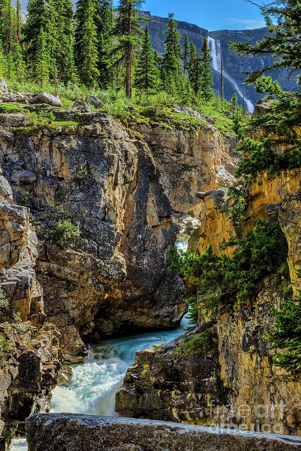 Bow Glacier Falls Photograph by DJ MacIsaac