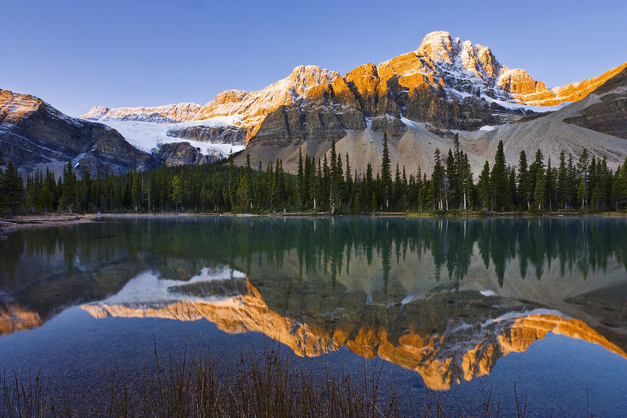 Bow Lake And Crowfoot Mountain #1 Photograph by Yves Marcoux