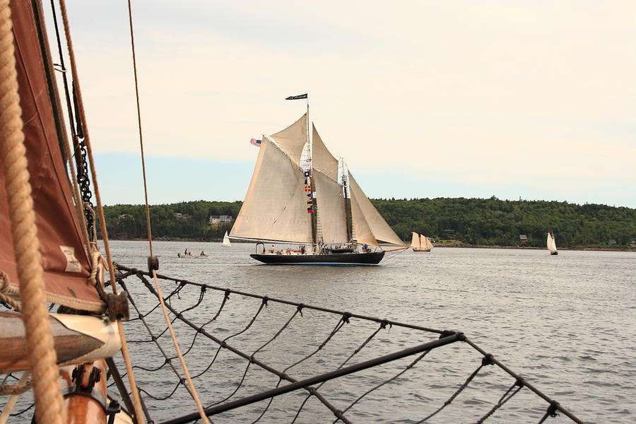 Bowditch Under Full Sail #1 Photograph by Doug Mills