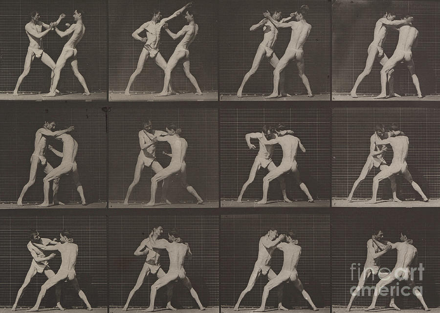 Boxing by Eadweard Muybridge Photograph by Eadweard Muybridge
