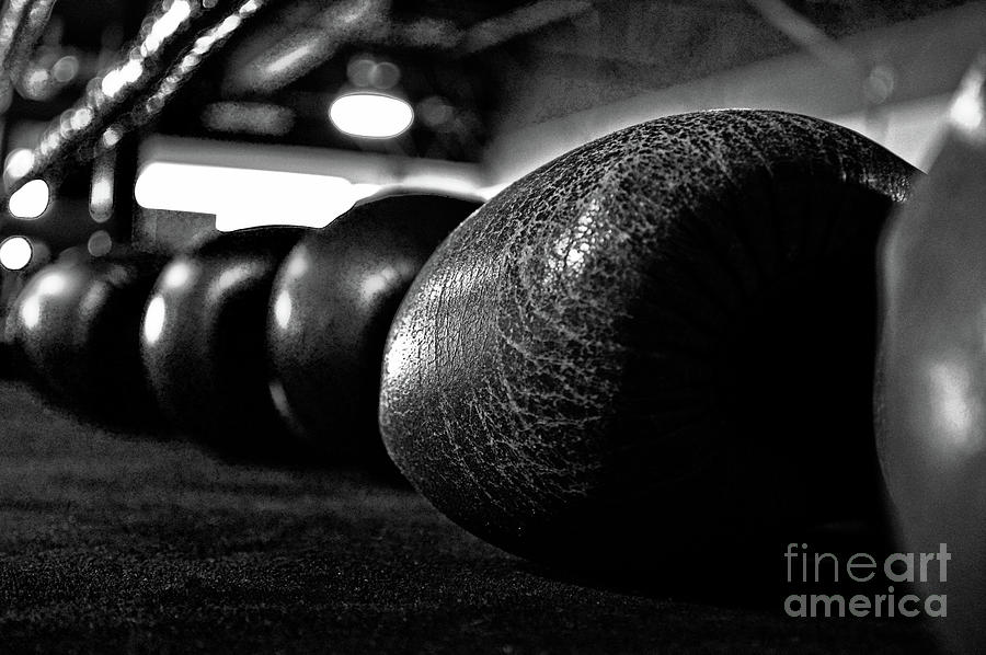 Boxing Gloves #1 Photograph by Doc Braham