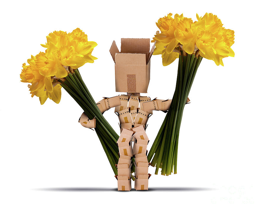 Box character holding large bunches of daffodils Digital Art by Simon Bratt