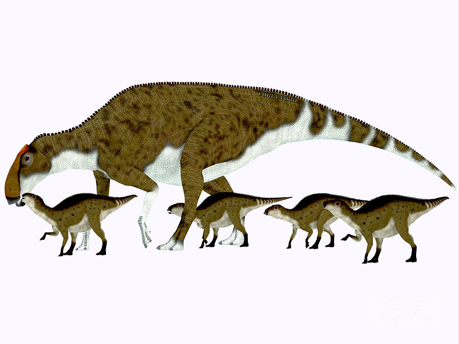 Brachylophosaurus Side Profile Painting