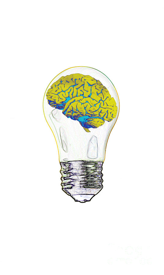 Brain In Lightbulb, Illustration #1 Photograph by Mary Martin