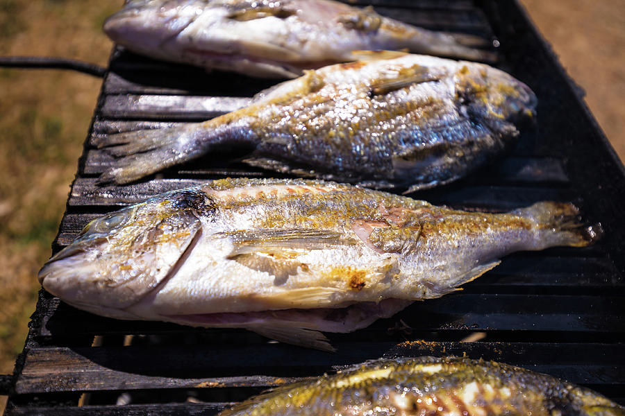 Bream sea fish on grill #1 Photograph by Brch Photography