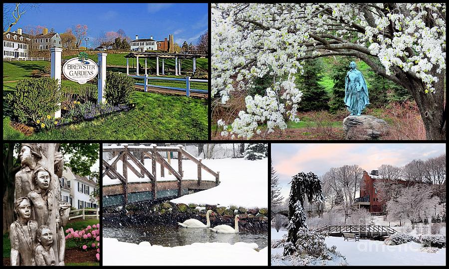 Brewster Gardens Collage Photograph by Janice Drew