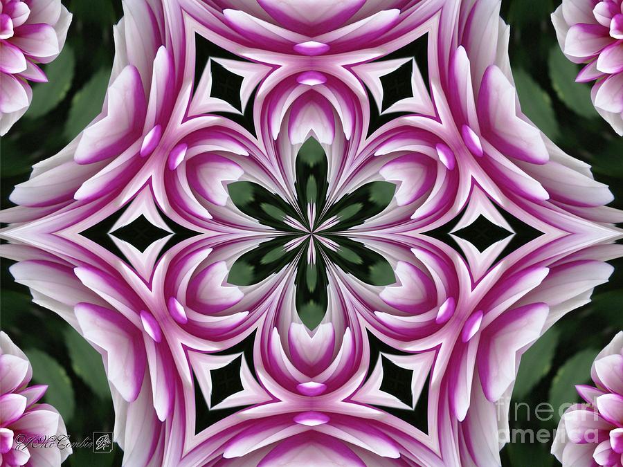 Brian Ray Kaleidoscope #5 Digital Art by J McCombie