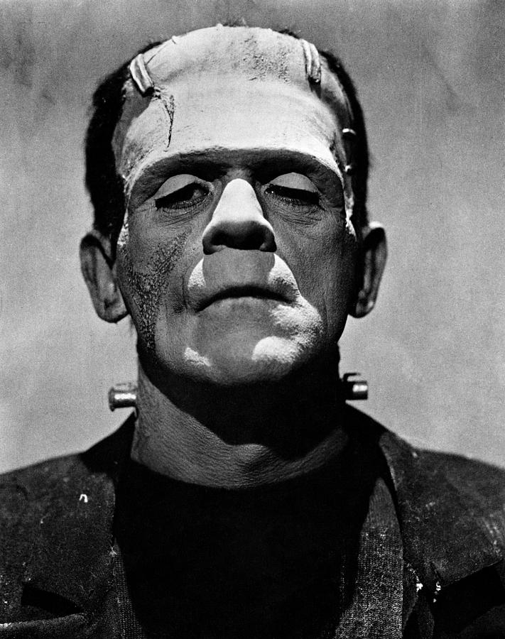 Bride Of Frankenstein, Boris Karloff #1 Photograph by Everett
