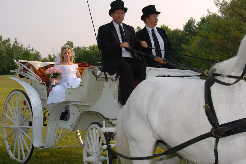 Bride Photograph - Brides carriage arrival #1 by Mary Curtis