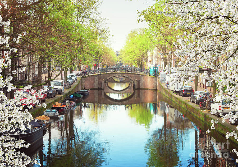 Bridge of Amsterdam, Netherlands #2 Photograph by Anastasy Yarmolovich