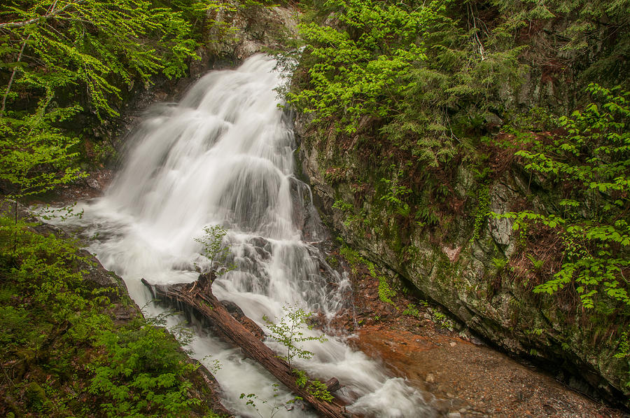 Bridle Veil Falls #1 Photograph by Brenda Jacobs