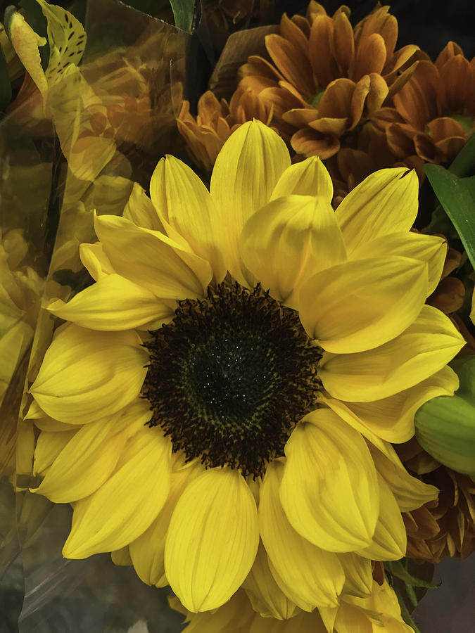 Bright Bouquet #1 Photograph by Arlene Carmel