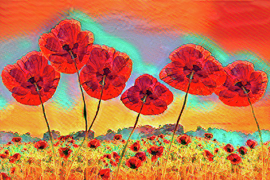 Bright Fun Poppies on Fire #1 Photograph by Debra and Dave Vanderlaan