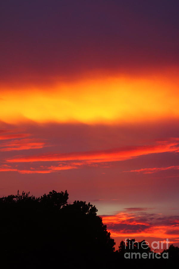 Bright Orange And Red Sunset Photograph by Alice Heart