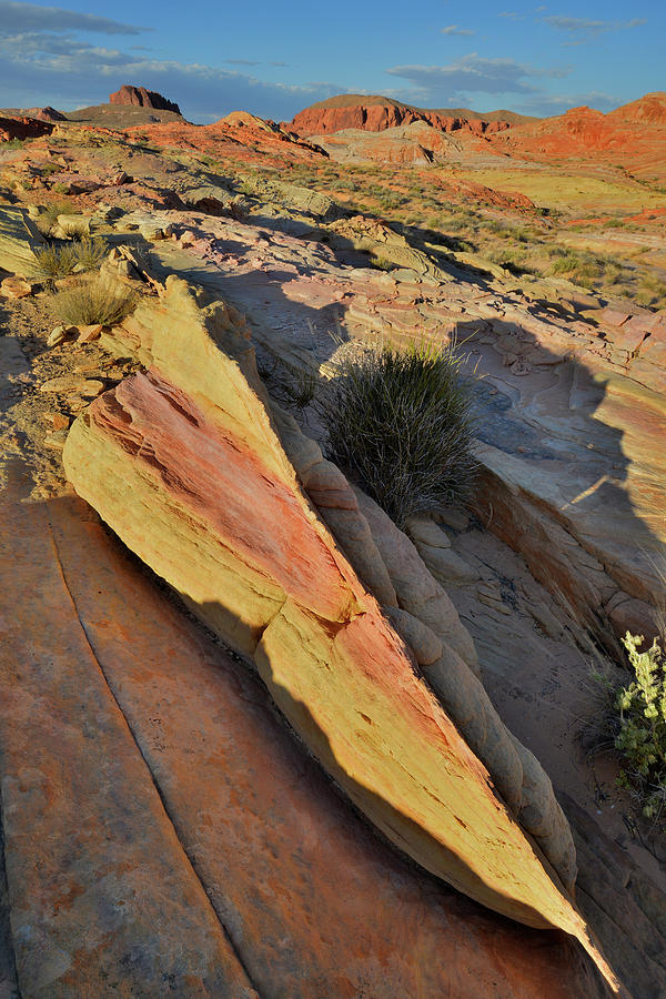 Brilliant Colors of Valley of Fire State Park #1 Photograph by Ray Mathis