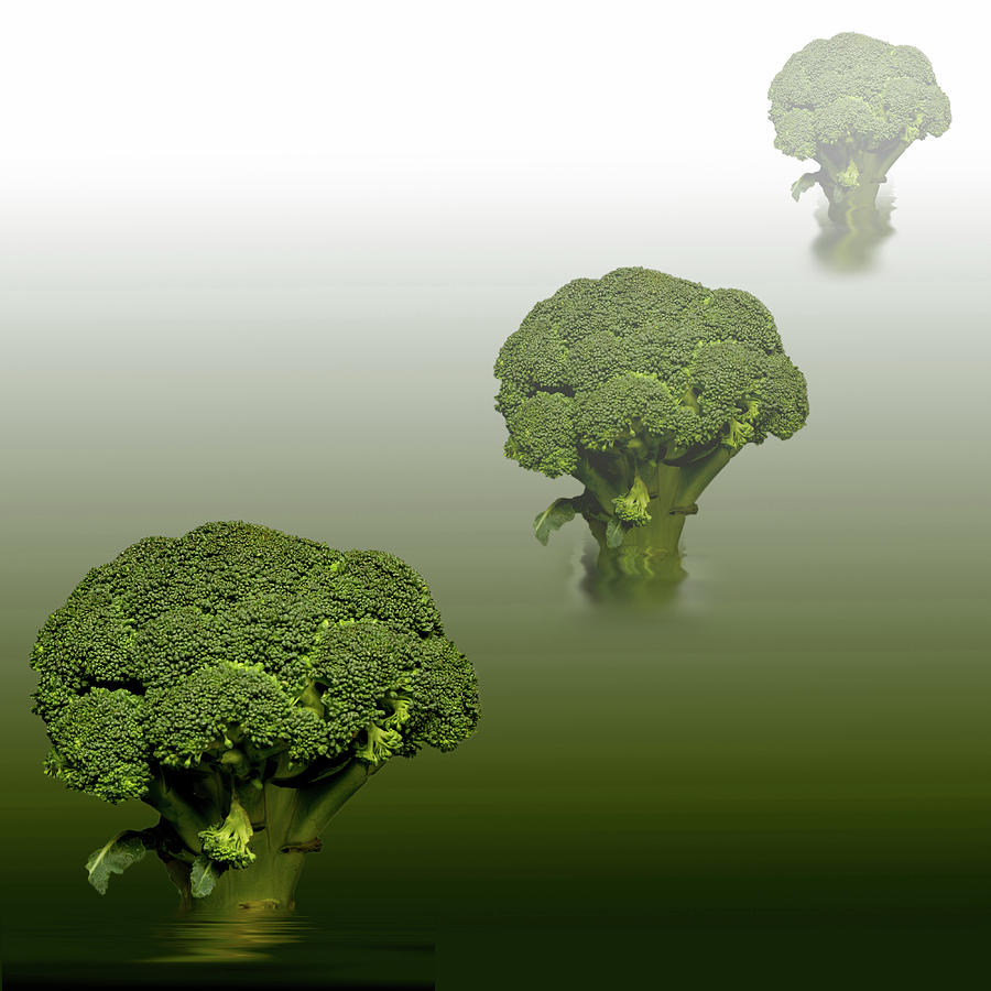 Broccoli Green Veg #1 Photograph by David French