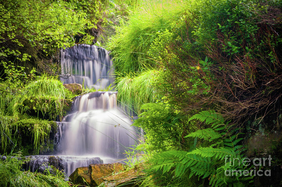 Bronte Waterfall #1 Photograph by Mariusz Talarek