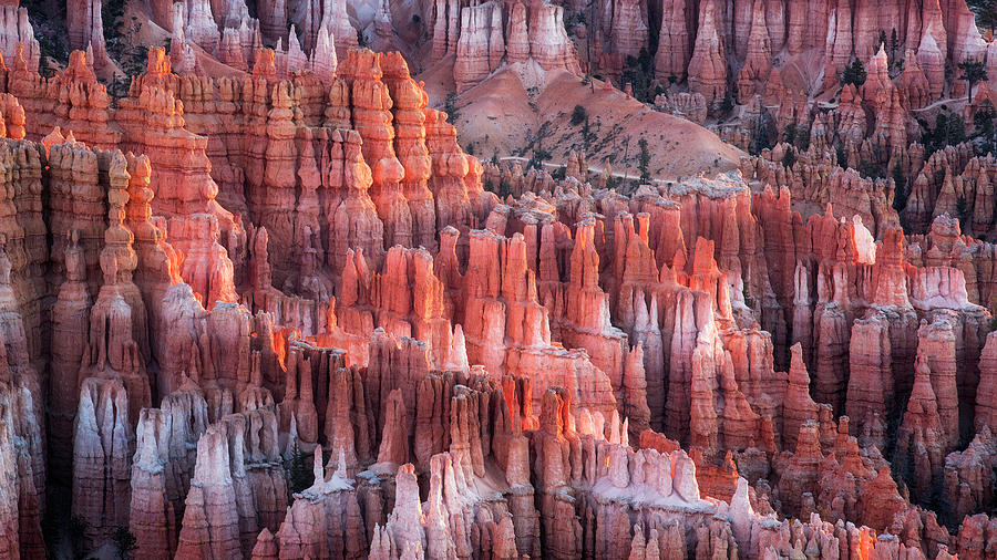 Bryce Canyon  #1 Photograph by Alex Mironyuk