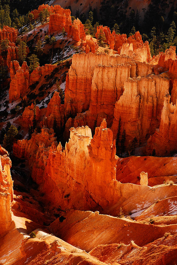 Bryce Canyon #1 Photograph by Harry Spitz