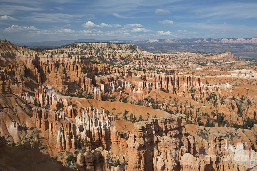 Bryce Canyon National Park #1 Photograph by Jim West