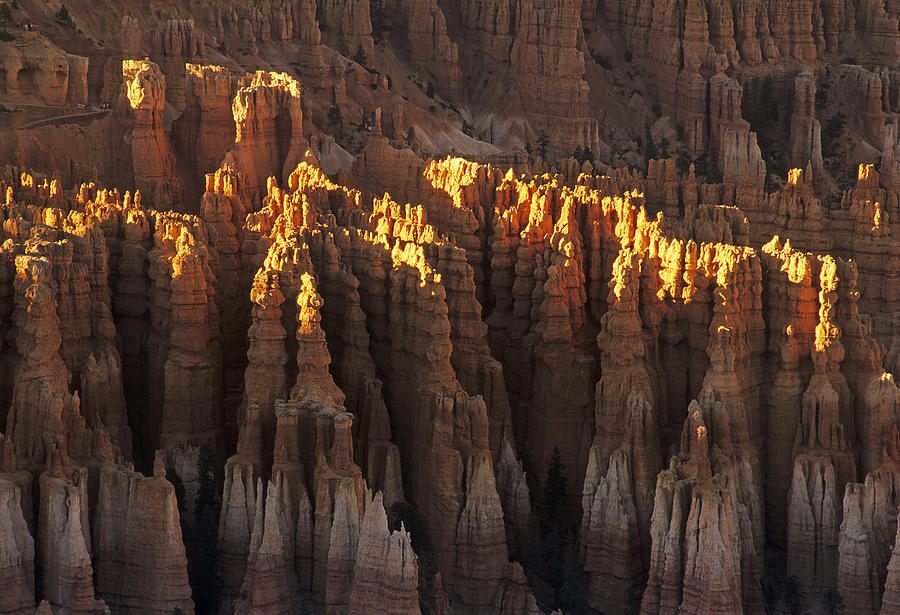 Bryce Canyon Sunrise #1 Photograph by Doug Davidson