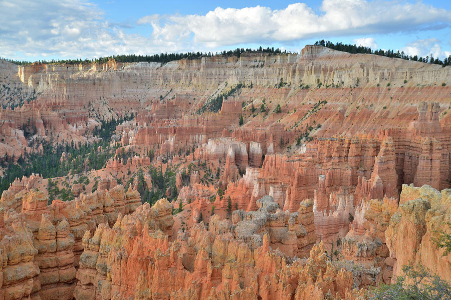 Bryce Canyon Sunrise #1 Photograph by Ray Mathis