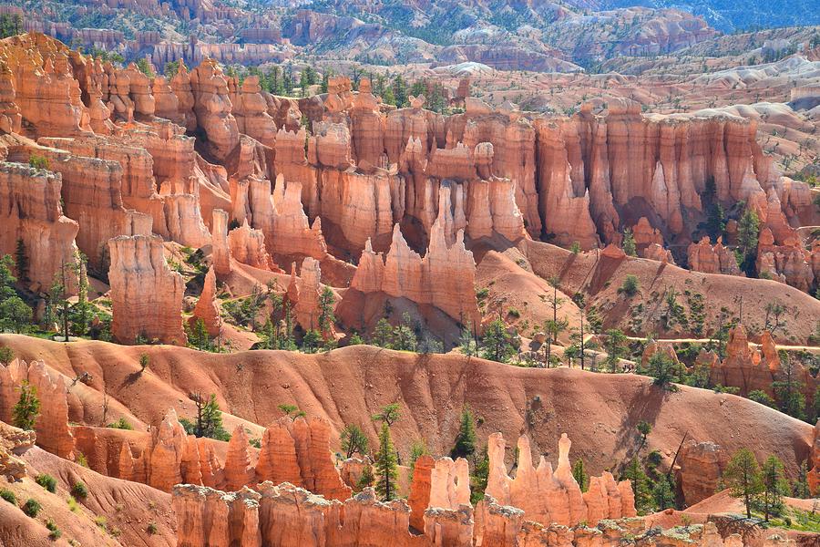 Bryce Canyons Queen Garden #2 Photograph by Ray Mathis