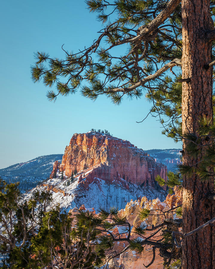 Bryce Canyon National Park Photograph - Bryce Winter #1 by Joseph Smith