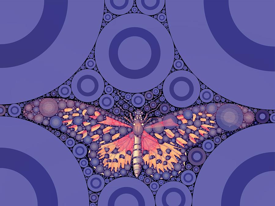 Bubble Art Butterfly Digital Art