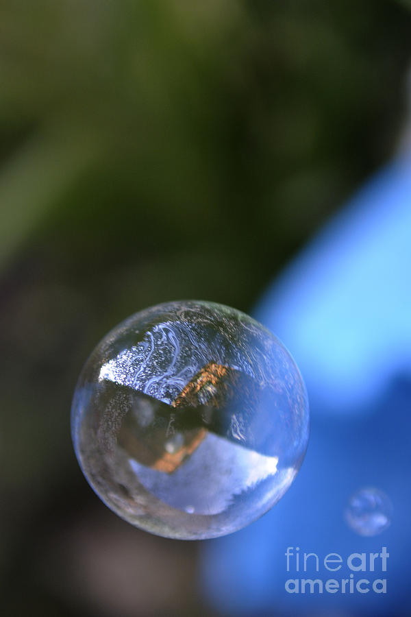 Bubble #2 Photograph by Clayton Bastiani