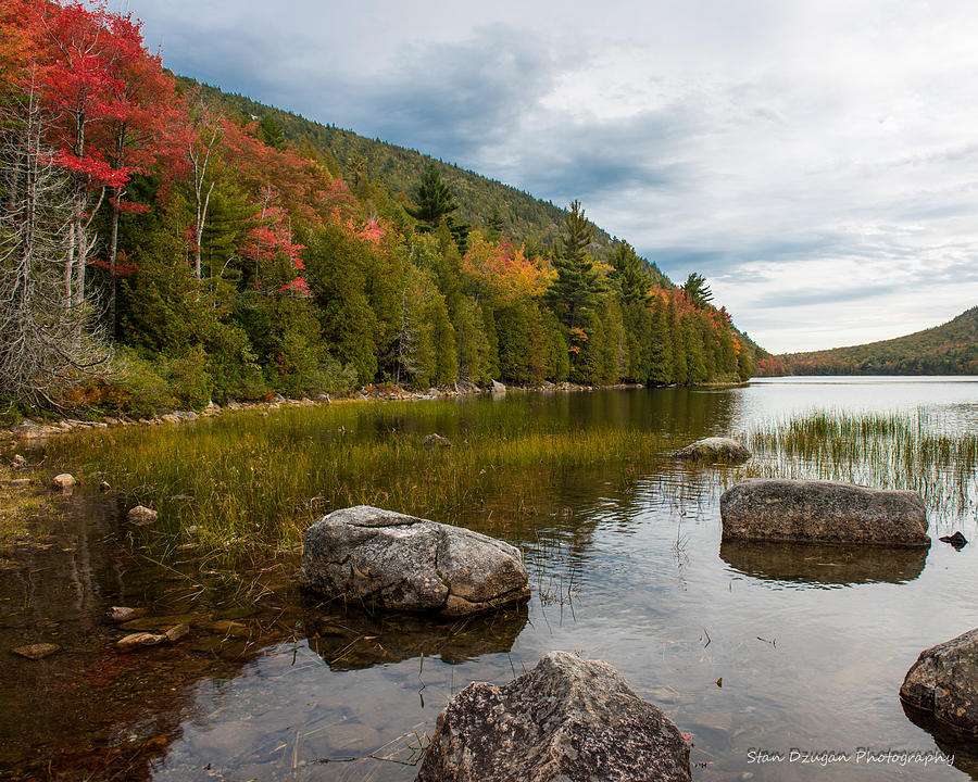 Bubble Pond Photograph by Stan Dzugan - Fine Art America