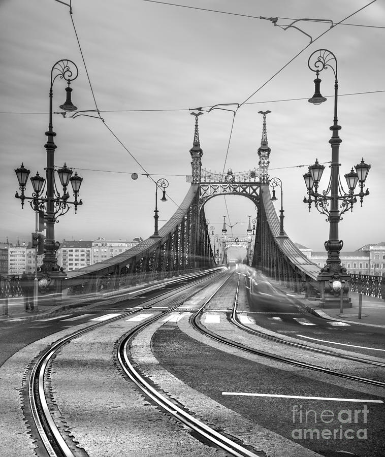 Budapest - Liberty Bridge #1 Photograph by Luciano Mortula